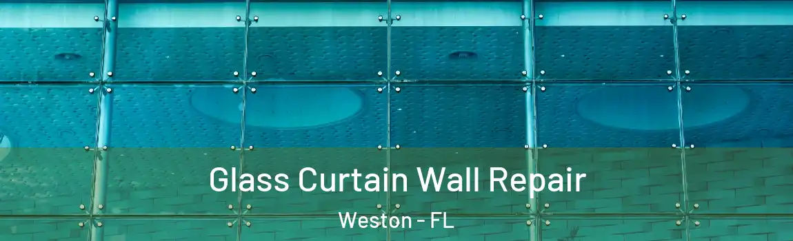 Glass Curtain Wall Repair Weston - FL